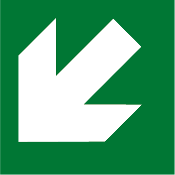 Flèche bas diagonale gauche