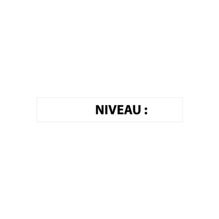Niveau